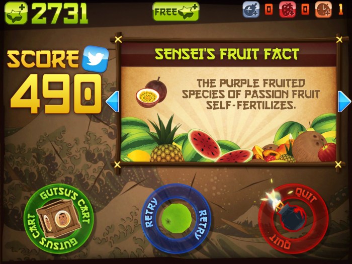 Fruit ninja best score