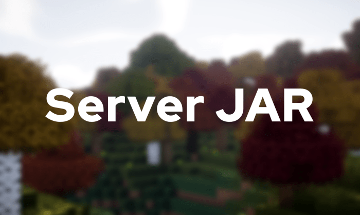 Beta 1.7.3 server jar