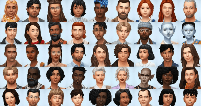 The sims 4 household