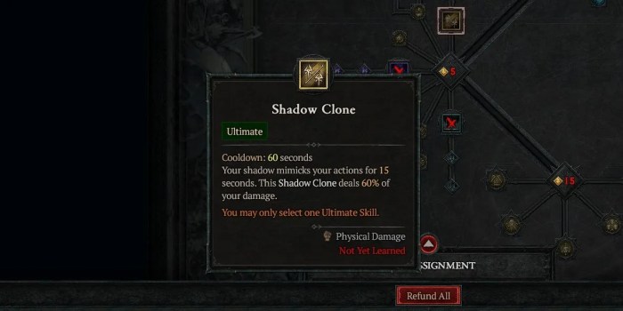 Diablo 4 shadow clone