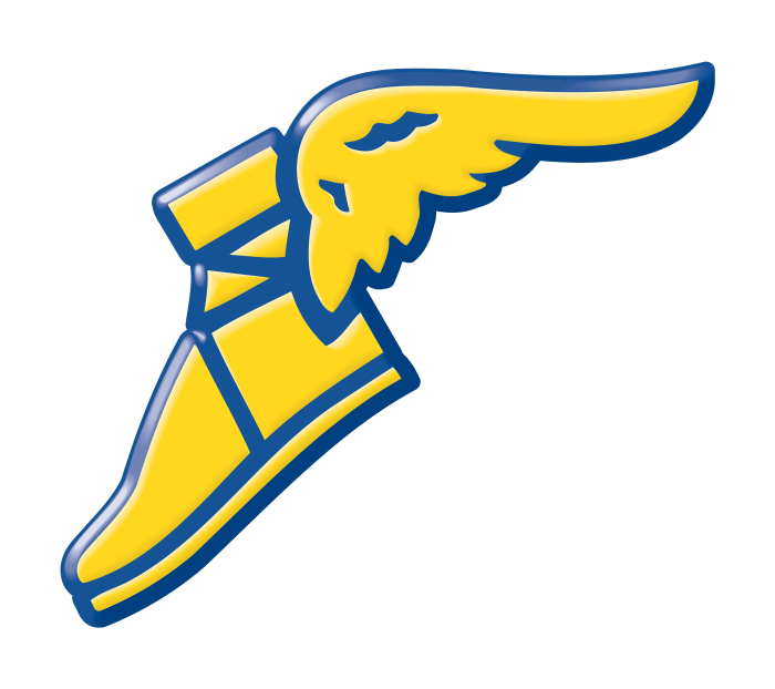 Shoe with wings logo