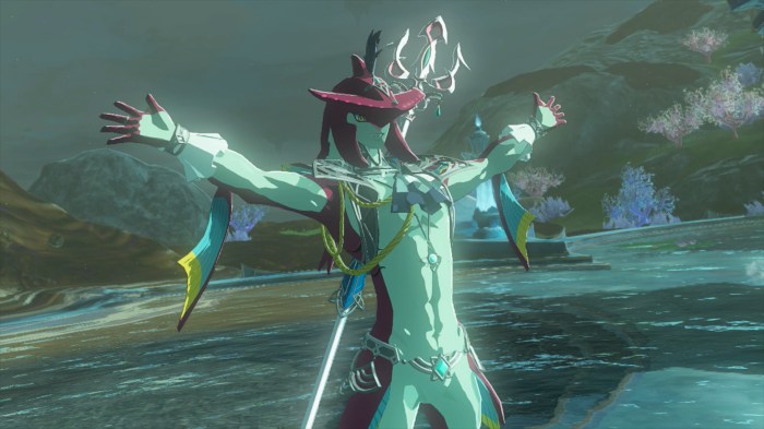 Zelda totk sidon of zora