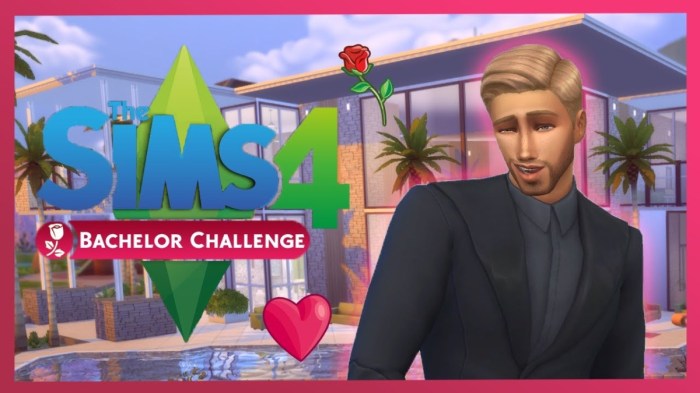Things to do sims 4