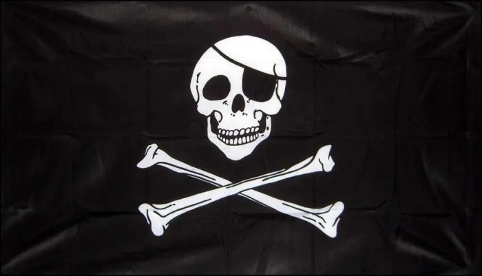 Skull with flag meaning