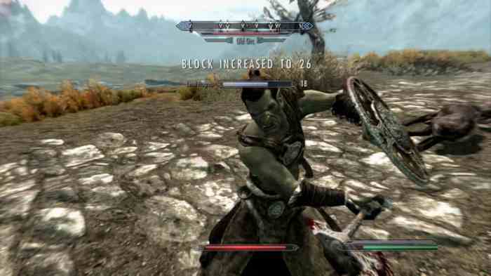 Skyrim windows run