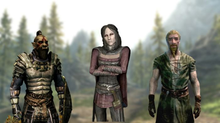 Dark elf followers skyrim