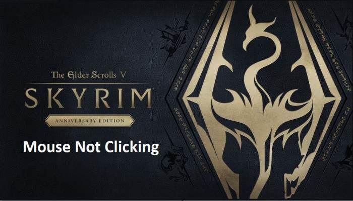 Skyrim mouse not working