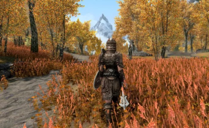 Skyrim mods for xbox 360