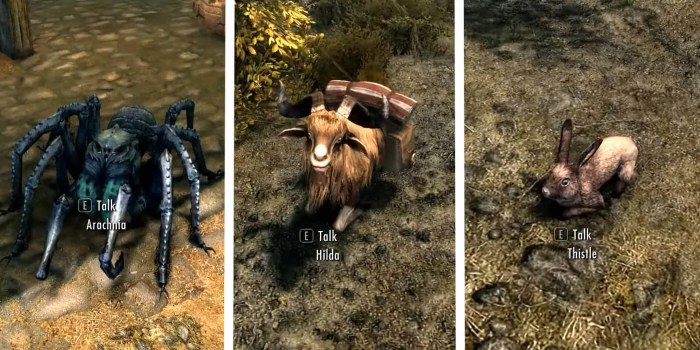 Pets of skyrim quest