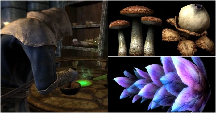 Skyrim poisons mods effective stronger deadly better nexusmods