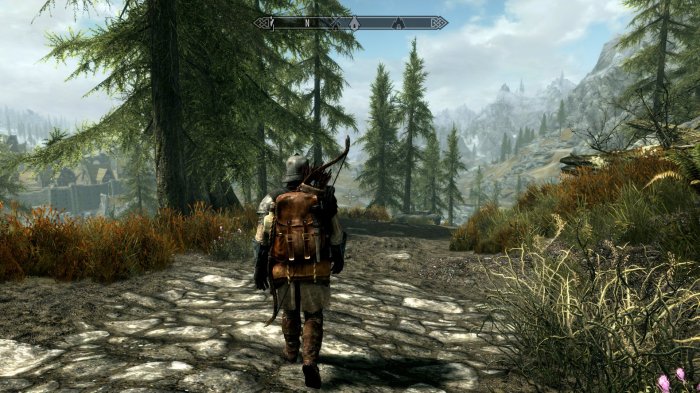 Did skyrim get an update