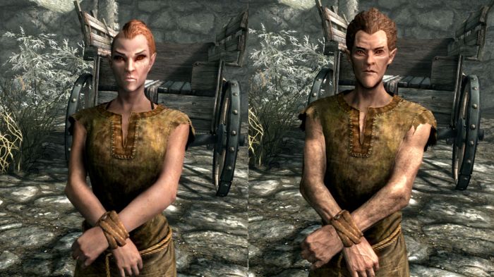 Skyrim wood elf female