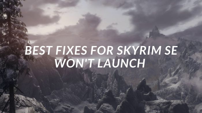 Skyrim closes on startup