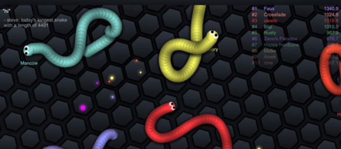 Slither io top score