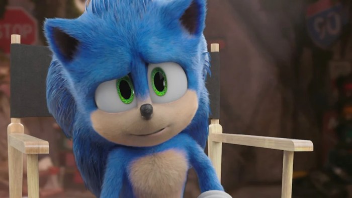 Does sonic have a tail