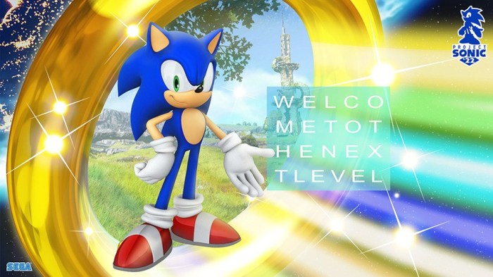 Sonic the next level