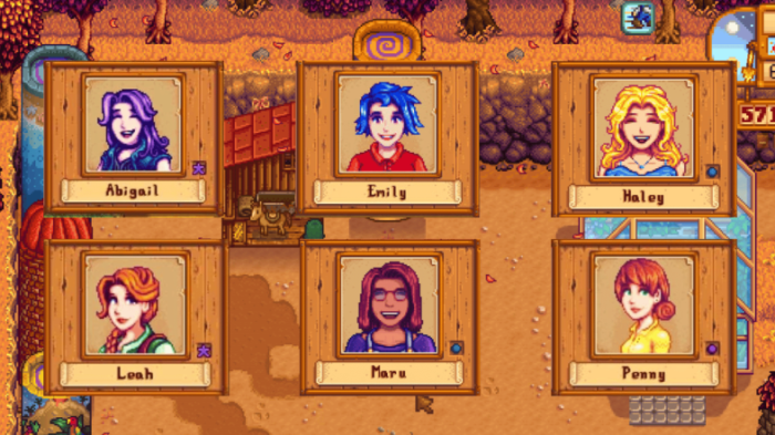 Stardew valley best wife