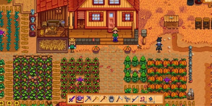 Best seeds stardew valley