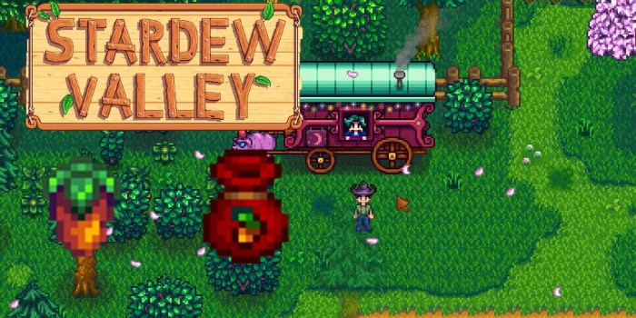 Stardew valley rare disc