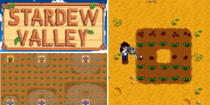 Watering valley stardew cans water