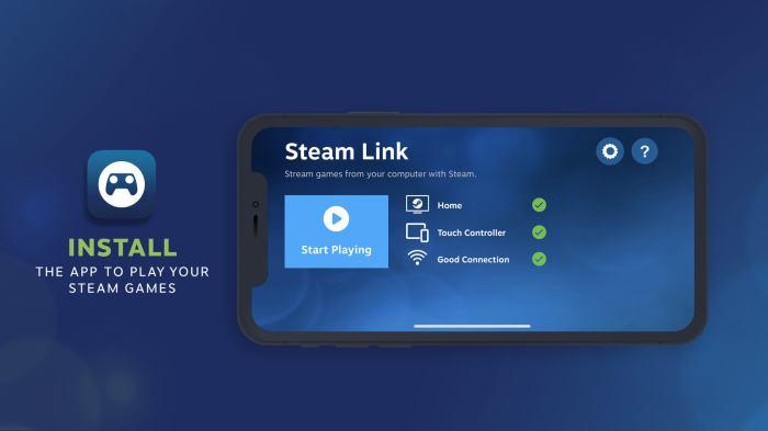 Steam remote play lag