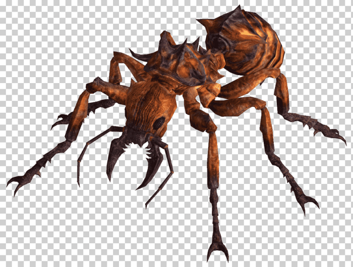 Fallout 3 fire ant source