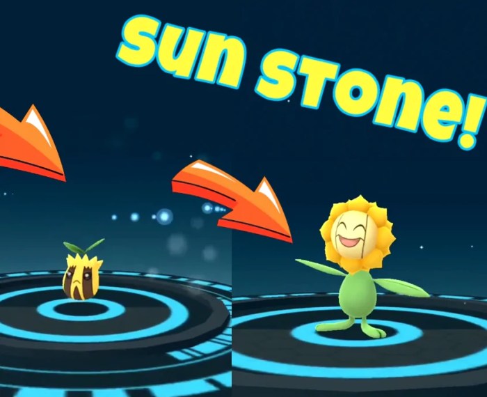 Pokemon xy sun stone