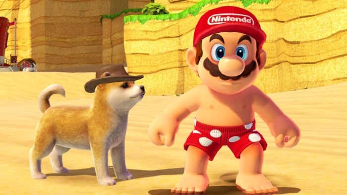 Mario odyssey super kingdom sand moon shiba polygon power locations guide inu star real pup good gonintendo nintendo via nintendogs