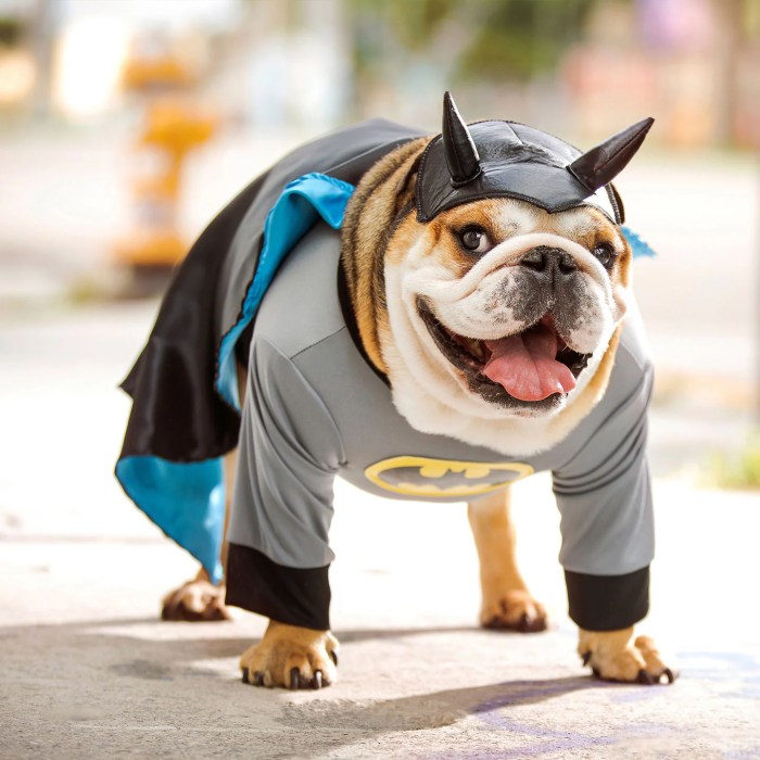 Batman dog tags for dogs