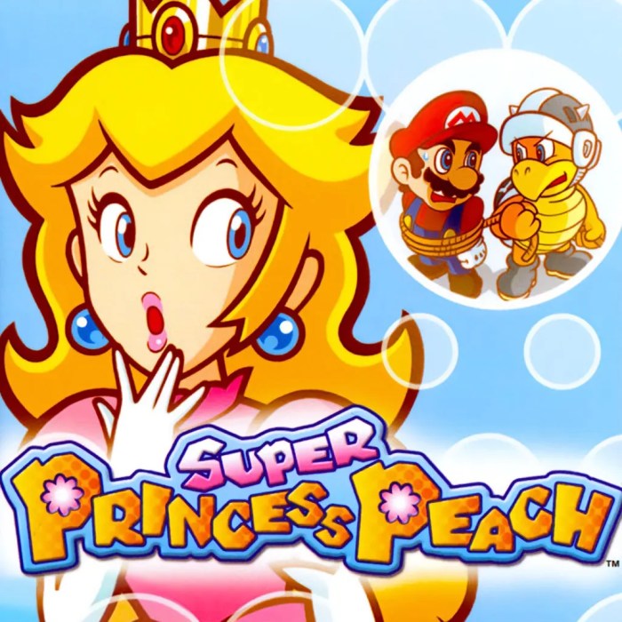 Super peach ds game
