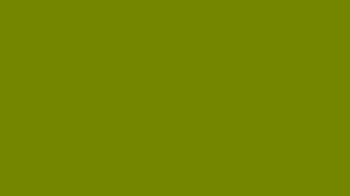 Swamp green dye bg3