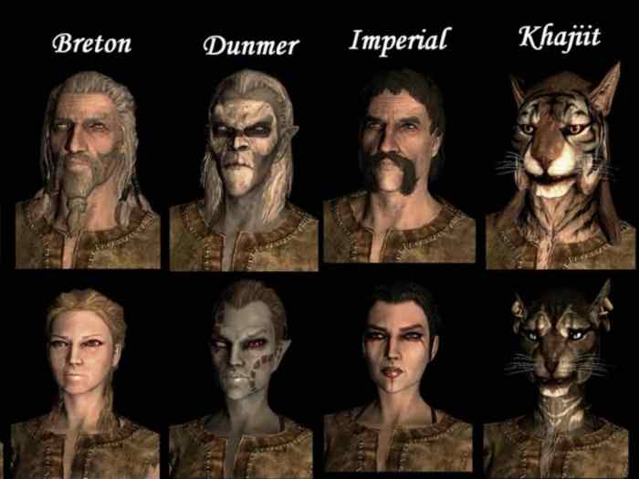 Changing race in skyrim