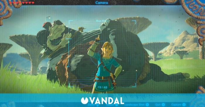 Breath of the wild camera