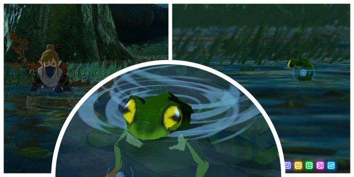 Hot footed frogs botw