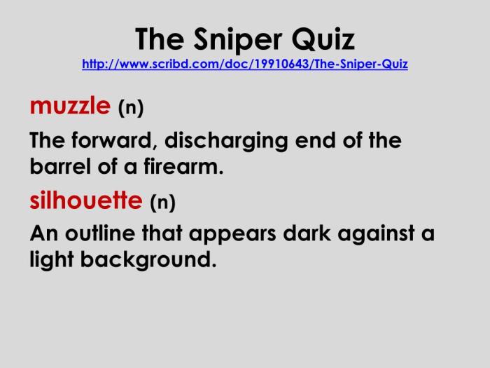 The sniper answer key