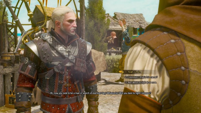 Fists of fury witcher 3