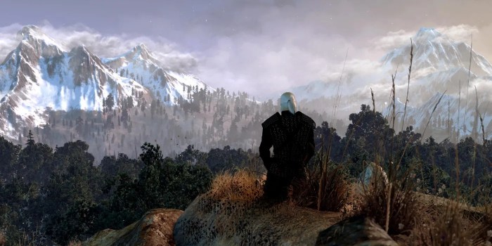 The witcher 3 meditation