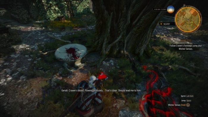 The witcher 3 nameless