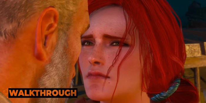 Witcher now or never