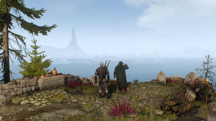 Witcher sunstone adjust climb