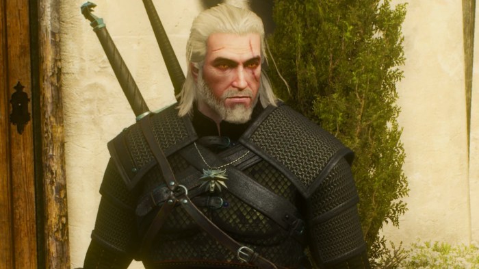 Viper gear witcher 3