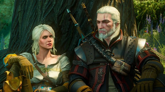 Levelling up witcher 3