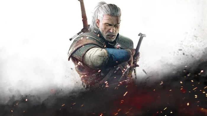 Steam key the witcher 3