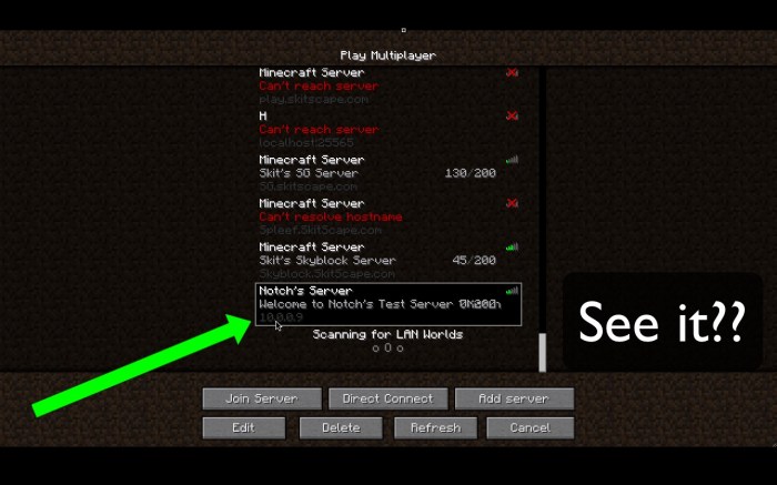 Server ip in minecraft