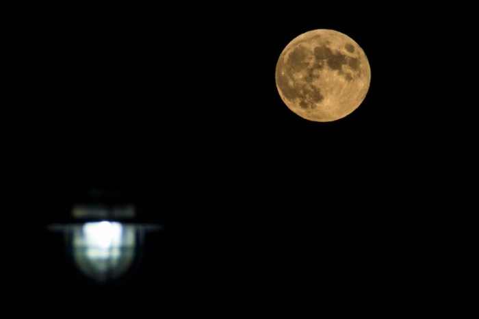 Moon pumpkin spooky night