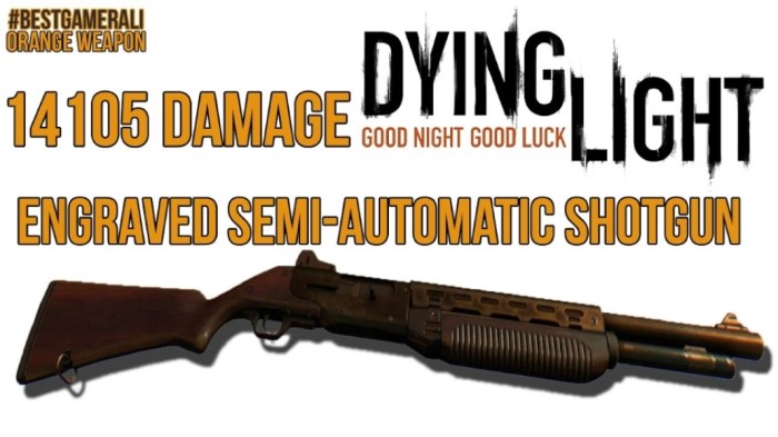 Dev weapons dying light