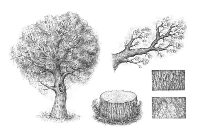 Stump tree drawing draw sketch drawings paintingvalley complete