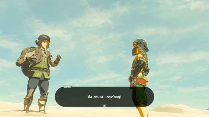 Bozai botw gerudo game8