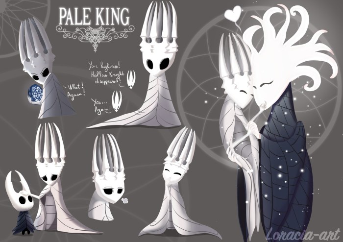 Hollow knight king soul