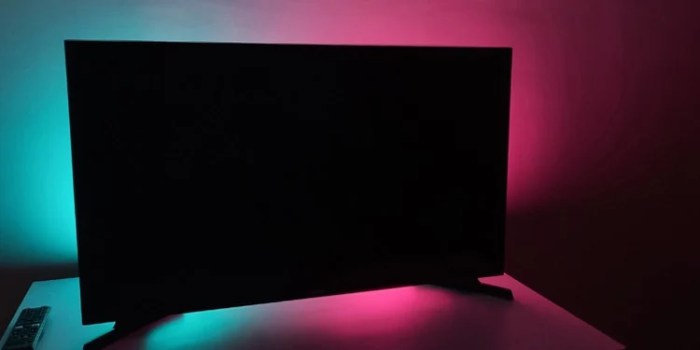 Ps2 screen goes black